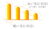 trait-gradation.png